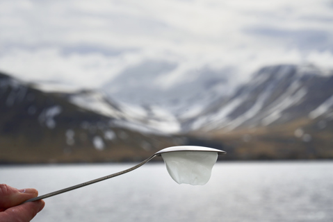 Arla Skyr